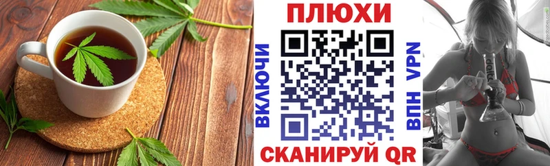 как найти закладки  MEGA вход  Печенье с ТГК марихуана  Сунжа 