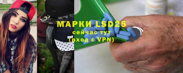 гидра Майский
