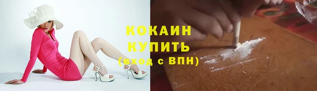 СК Россошь
