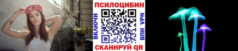 дарнет шоп  Сунжа  Галлюциногенные грибы MAGIC MUSHROOMS 