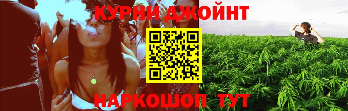 Конопля SATIVA & INDICA  Вход с VPN  Сунжа  Каннабис VHQ  Бошки Шишки марихуана 